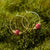 Bel Koz Round Bead Hoop Earring