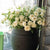 Peony Spray